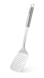 Pannilabidas Fissman