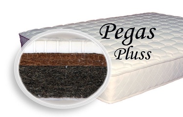 SPS+ Pegas Pluss 120x200x10