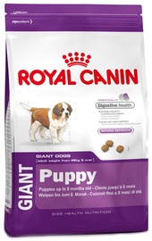 Royal Canin SHN Giant Puppy 15kg