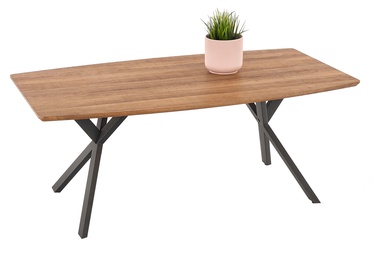 Kohvilaud Halmar Rustica Golden Walnut Black, 1100x600x450 mm