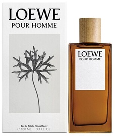 Tualetes ūdens Loewe Pour Homme, 100 ml