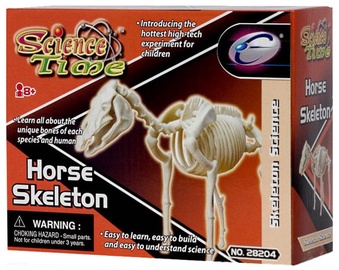 Eastcolight Horse Skeleton 28008/28204