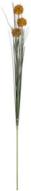 Home4you Bouquet Herbarium Grass 3pcs In Garden H89cm Orange