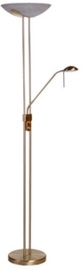 Wofi Bayna Floor Lamp 300W Matte Gold 391801