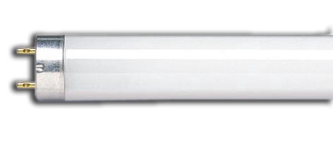 Лампочка Philips Люминесцентная, T5, холодный белый, G5, 8 Вт, 410 лм
