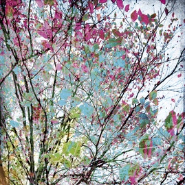 Fototapetas Rasch Young Artists 100983,300x186cm