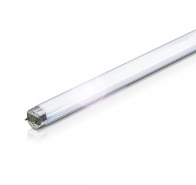 Liuminescencinė lempa Nordeon T8, 36W, G13, 6500K, 3015lm