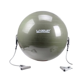 Gimnastikos kamuolys LS3227, 65cm