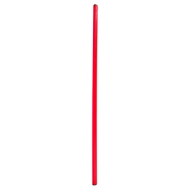 Палки для аэробики NO10 Gymnastic Light SPR-25080, 80 см
