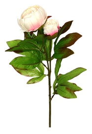 Искусственный цветок пион, белый, 680 мм
