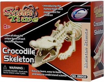 Eastcolight Crocodile Skeleton 28008/28202