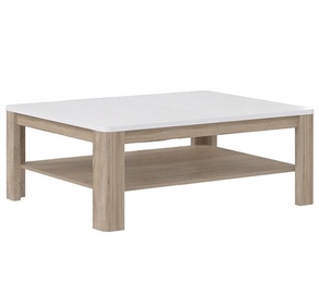 GALDIŅŠ FLOT12-P50 110X45X60CM
