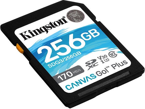 Mälukaart Kingston Canvas Go! Plus, 256 GB, 170 Mb/s - 90 Mb/s