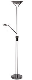 Action Lamp NESTOR 391886