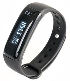 California Access Rhythm CA-2101