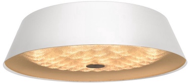 Gaismeklis Domoletti Kvadro B1934-1-400-R 24W LED White (bojāts iepakojums)