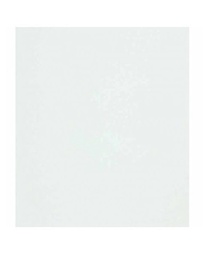 Бумага Antalis Curious Metallics A4, A4, 50 шт.