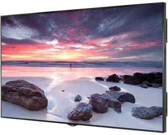 Monitorius LG 98LS95D-B