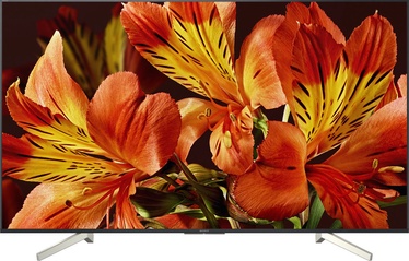 Televizorius Sony KD-65XF8505