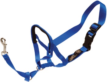 The Company of Animals Halti 1 Blue