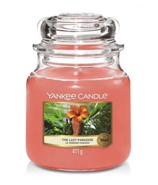 Svece, aromātiskā Yankee Candle Classic Medium Jar The Last Paradise, 65 h, 411 g, 127 mm