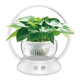 Laualamp Domoletti PNLED-140-WH9G, LED, alus, 6.5W