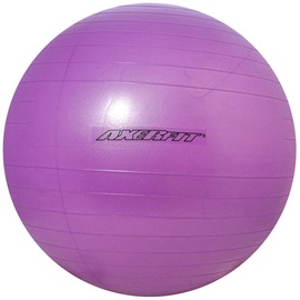 Axer Sport Anti Burst Gym Ball 65cm Purple