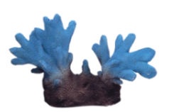 Dekoratsioon Boyu Aquarium Ornament CW-41