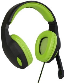 Ausinės ART Lizard Green/Black