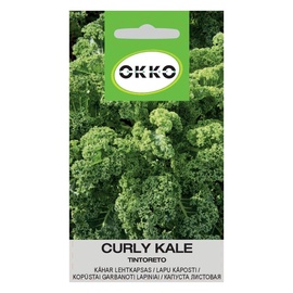 LAPU KĀPOSTI TINTORETO (OKKO)