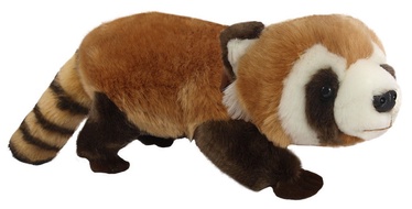 Beppe Zoo Panda Red Tracking