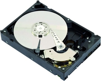 Intenso Internal Hard Disk 6TB 7200RPM 64MB 3.5" SATAIII Retail Kit 6513143