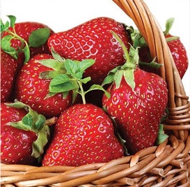 Paw Decor Collection Strawberry Basket 33x33cm