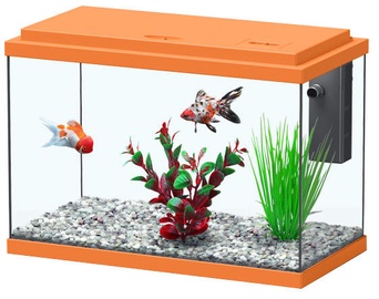 Aquatlantis Funny Fish 50 Orange