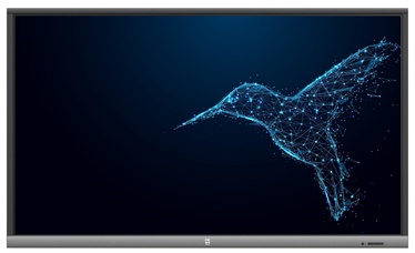 Avtek 5 Lite 55 Gray