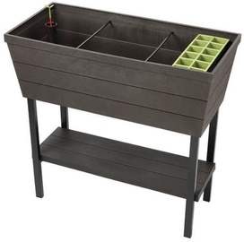 Garšvielu trauciņi Keter Urban Bloomer, brūna, 360 mm