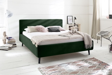 Gulta Meise Möbel Luana Dark Green, 200x160 cm