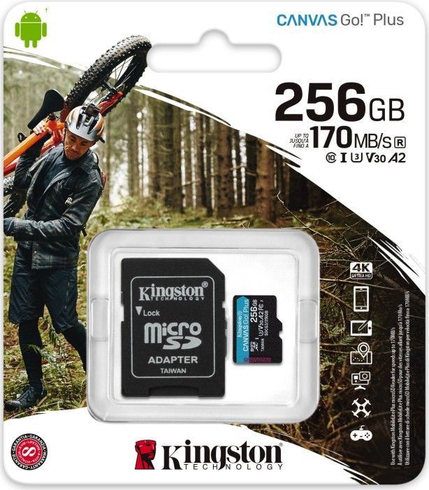 Mälukaart Kingston Canvas Go! Plus, 256 GB, 170 Mb/s - 90 Mb/s