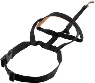 The Company of Animals Halti Padded 5 Black