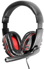 Ausinės Tracer Rohu Rev.2 Headset