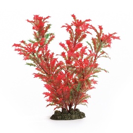 Akvariumo augalas Beeztees, 3,5 x 11,5 x 25,5 cm