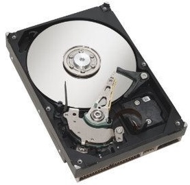 Fujitsu 256GB SATAIII S26361-F3915-L256