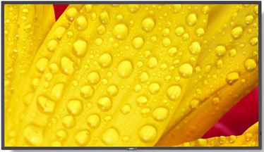 Монитор NEC ME651, 65″, 8 ms