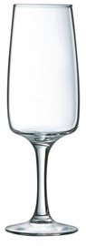 Luminarc Equip Home Champagne Glasses 17cl 6pcs
