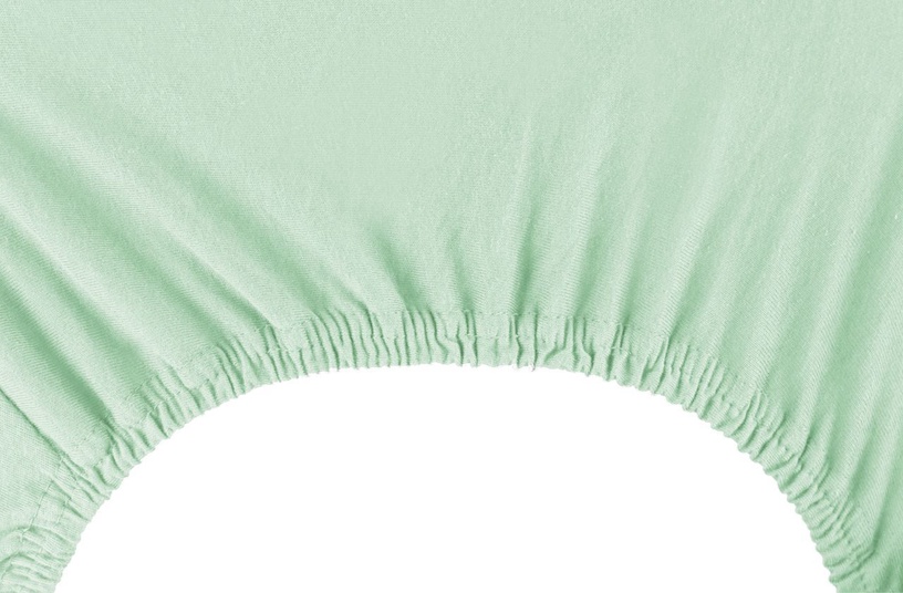 Palags DecoKing Amber, zaļa, 200 cm x 200 cm, ar gumiju