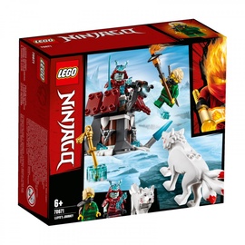 Lego Blocks Ninjago Lloyd journey 70671