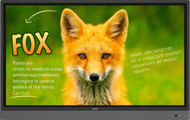 Monitorius BenQ RP653K Interactive Flat Panel Display