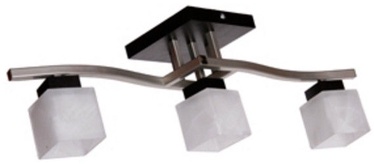 LAMKUR Dana LM-3.34/WEN
