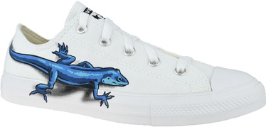Converse Chuck Taylor All Star Junior Low Top Lizards 667532C White 37.5