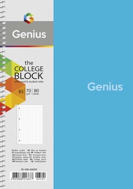 Sąsiuvinis Genius, langeliais, B5, 80 lapų